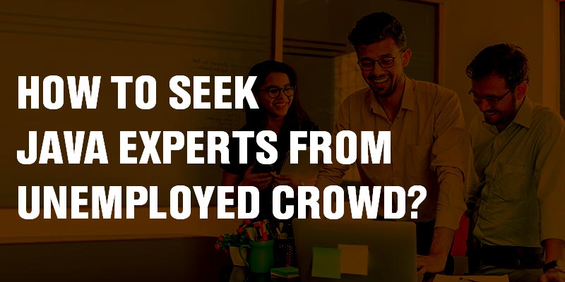 How to seek Java experts from unemployed crowd?